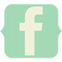 facebook 11 icon